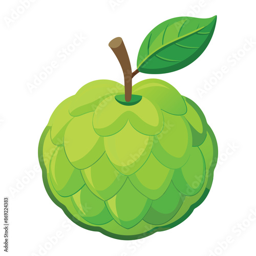 illustration of a fresh custard apple