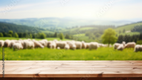 Empty wooden tabletop with blurred flock of sheep grazing on green pasture background © Александр Марченко