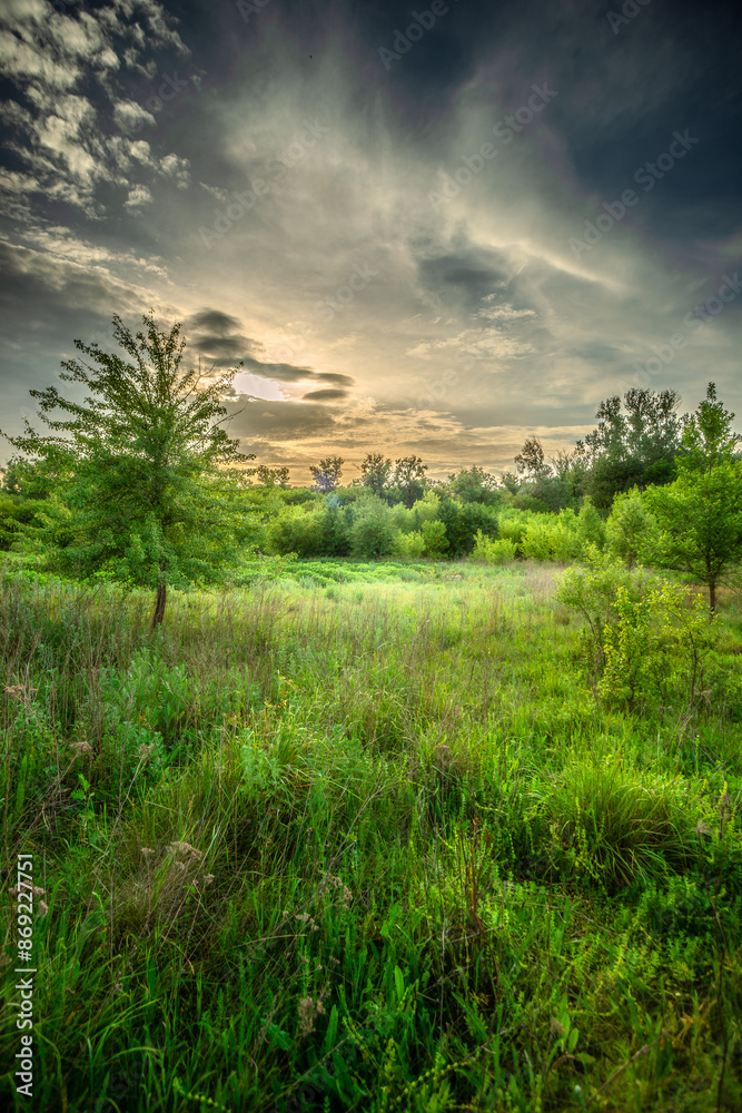 Field and forest , green trees and leafs . Clouds and sky . Nature at sunner time . Beautiful clouds Field and forest , green trees and leafs . Clouds and sky . Nature at sunner time . Beautiful clouds