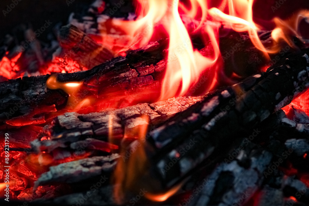 a Fire with coals and fire on nature picnic background. Burns out a bonfire for food on the street a Fire with coals and fire on nature picnic background. Burns out a bonfire for food on the street