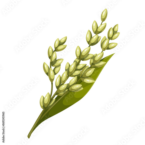 Green millet, cartoon agricultural plant with seeds and leaf. Growing farm organic harvest of millet grains on summer field, cereal crop mascot, cartoon healthy proso branch vector illustration