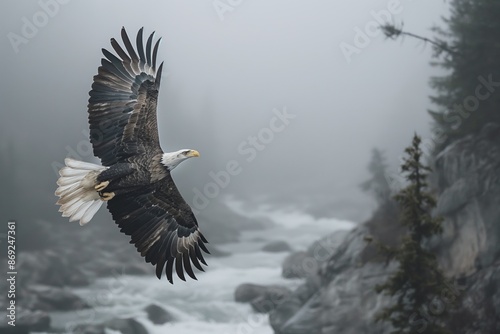 A majestic eagle spreads its wings wide, soaring gracefully over a fast-flowing river surrounded by mist-covered mountain terrain, exemplifying nature's raw and pristine beauty. photo