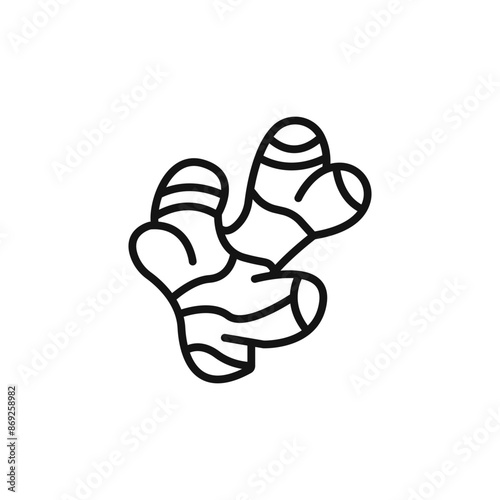 ginger icon logo sign vector outline