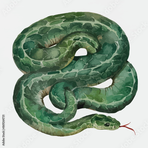 Watercolor drawing clipart of a Snake Anaconda, isolated on a white background, painting, Snake vector, drawing, design art, clipart image