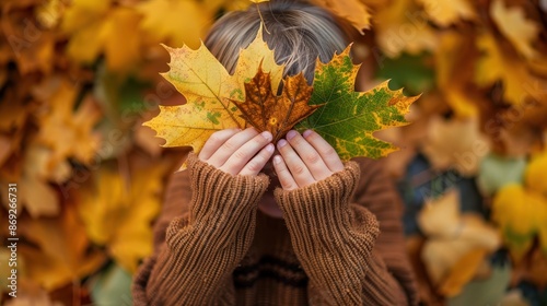 Child Holding Autumn Leaves photo