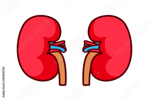Flat Kidney Organ Illustration Design