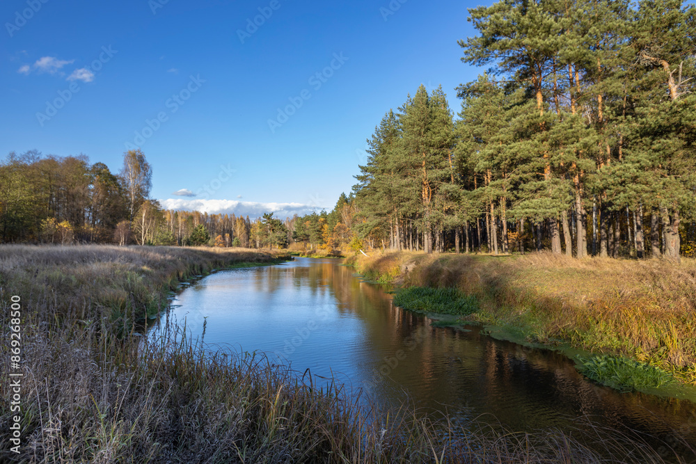 A river with a forest on the other side A river with a forest on the other side