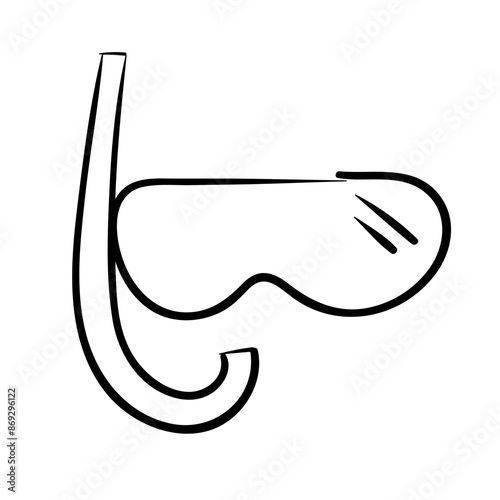 snorkel