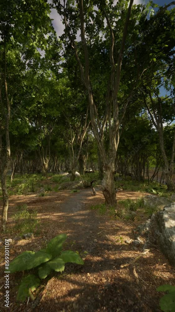 Boulders in green grass overgrown with green moss Boulders in green grass overgrown with green moss