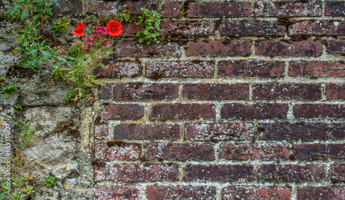 Mur en briques de l'abri anti-aérien d'Albert, actuel musée de la Grande Guerre, à Albert, Somme, France photo