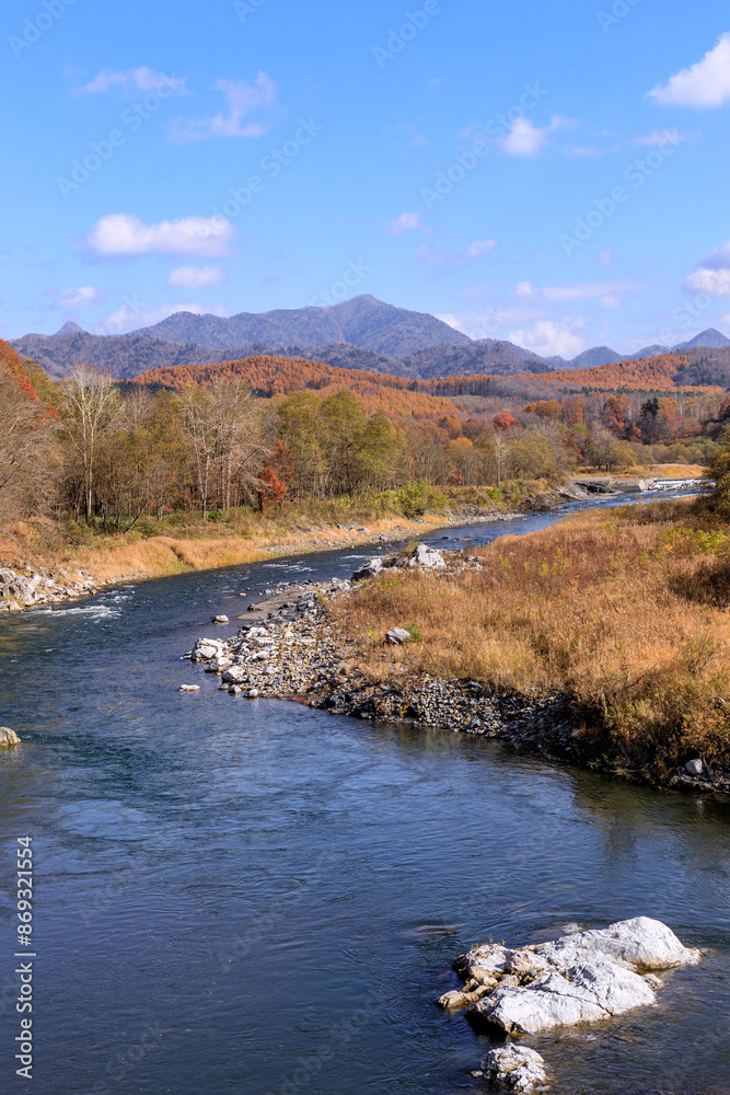 Fototapeta premium 北海道平取町、紅葉した木々の合間を流れる沙流川と日高山脈【11月】