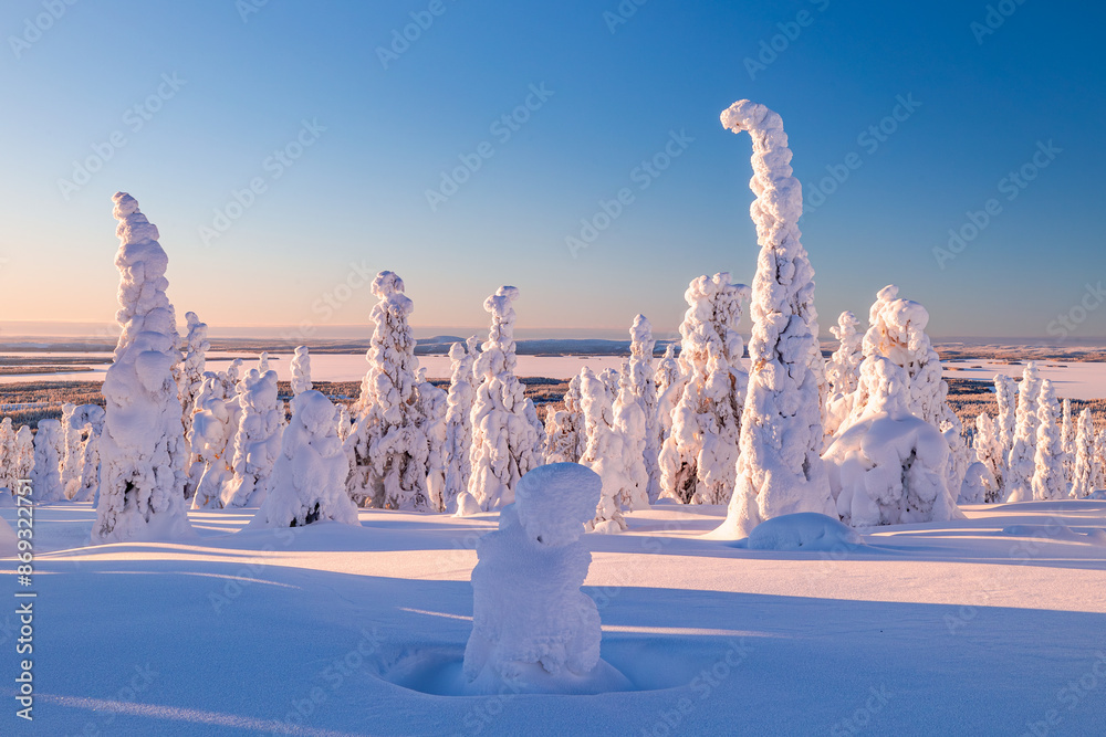winter landscape with snow