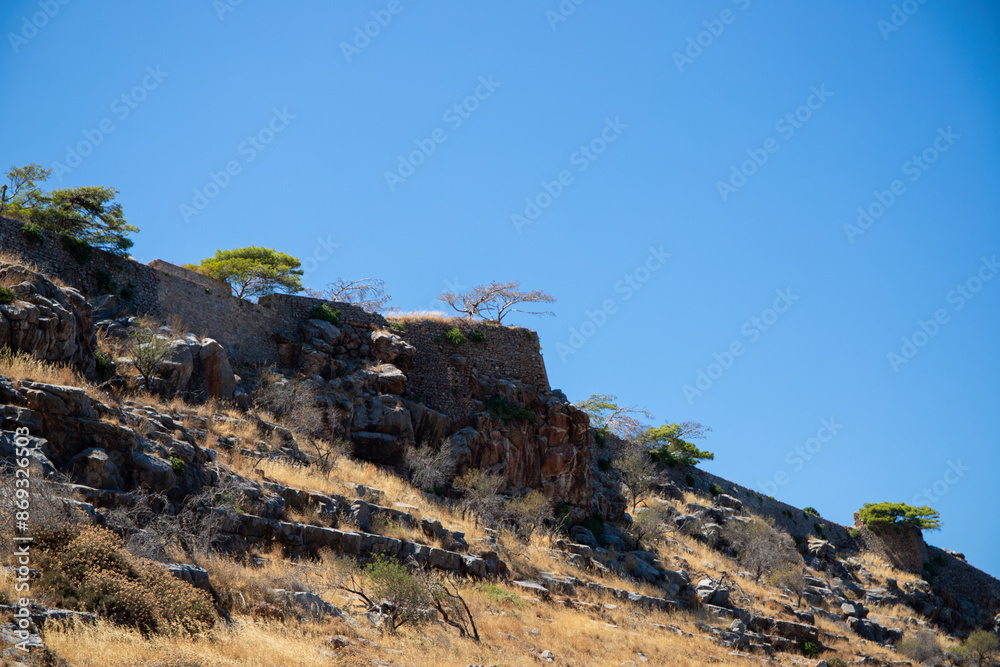 Naklejka premium Trees in a dry environment with mountains in the background in Crete