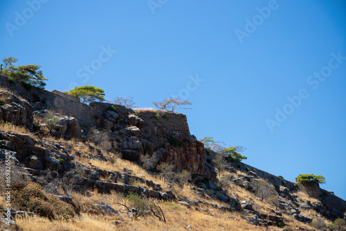 Trees in a dry environment with mountains in the background in Crete