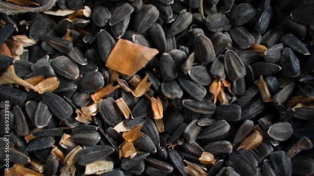 Unprocessed sunflower seeds close-up, camera smoothly zooming in Unprocessed sunflower seeds close-up, camera smoothly zooming in
