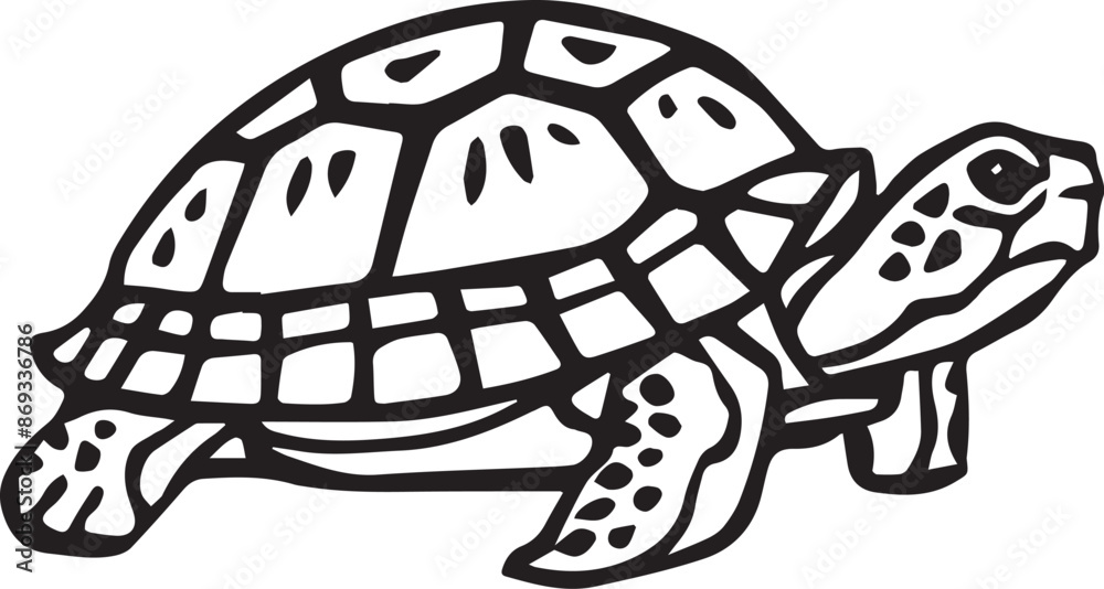 Fototapeta premium turtle illustration