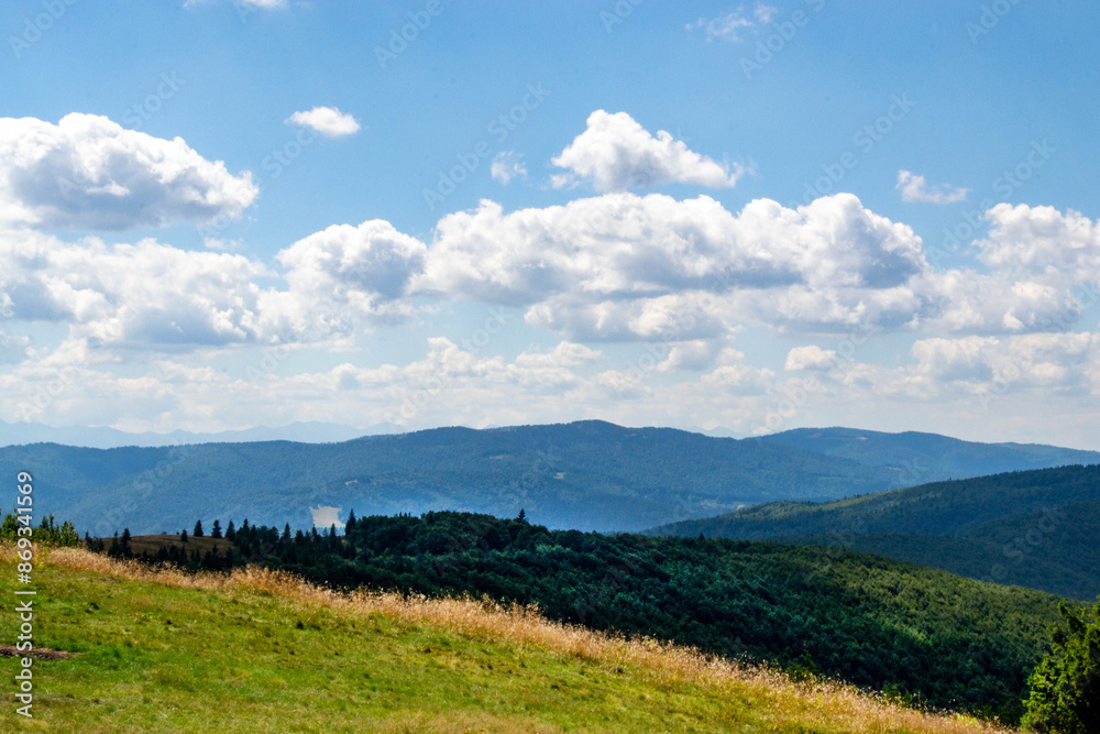 Green forest natural landscape on the mountain in summer