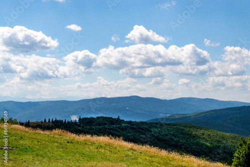 Green forest natural landscape on the mountain in summer