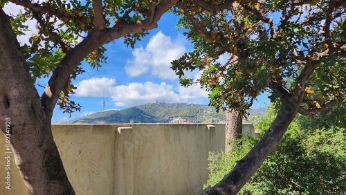 view between the trees