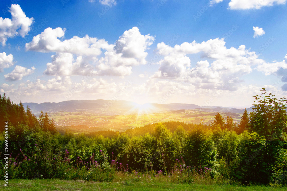 Obraz premium Green forest natural landscape on the mountain in summer