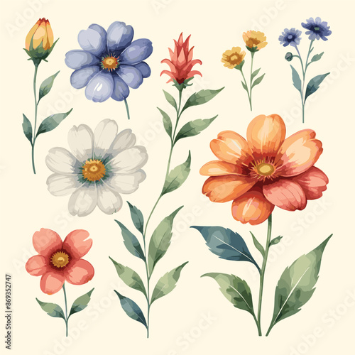 Wallpaper Mural Vintage Flowers Watercolor Floral Set Illustration Torontodigital.ca