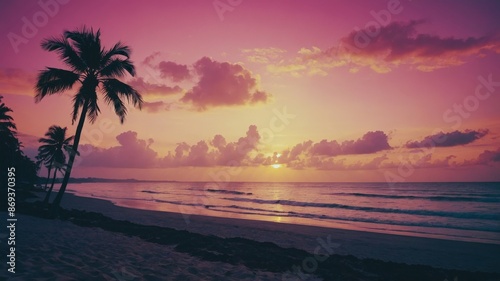Beautiful beach landscape with sunset and coconut trees, summer concept.