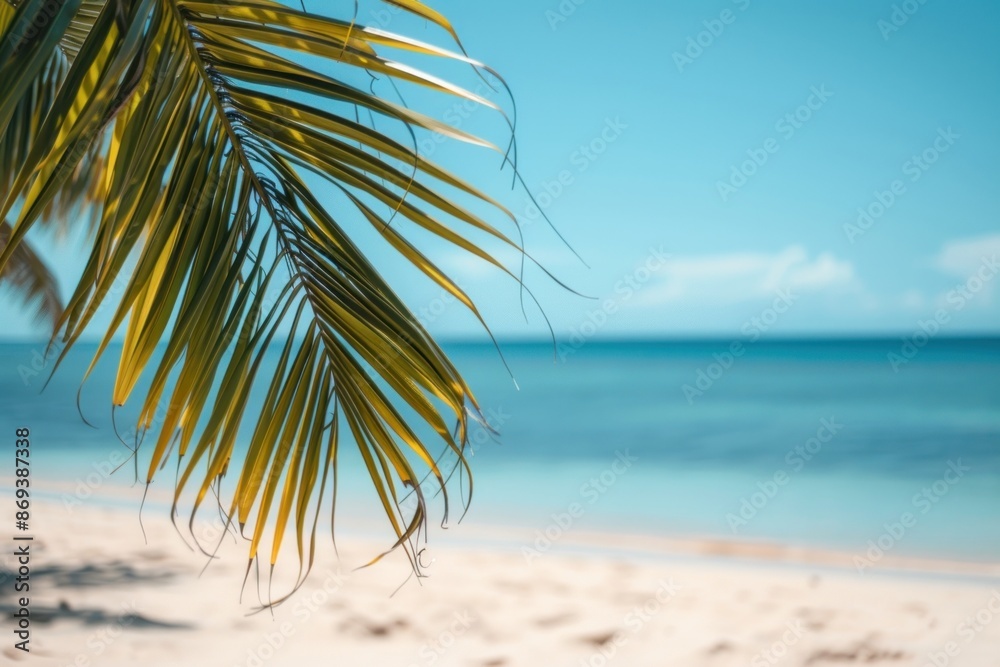 Obraz premium Beach tree outdoors horizon.