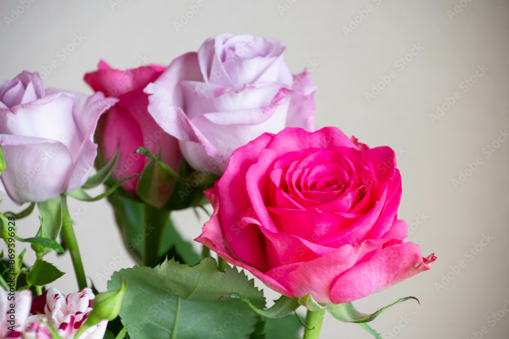 薔薇の花束 薔薇の花束