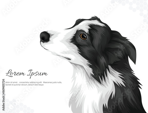 Vector Dog Breed Border Collie wall decor ideas