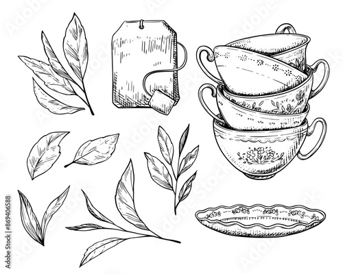 Tea cups, bag and leaves vintage vector sketch drawing	