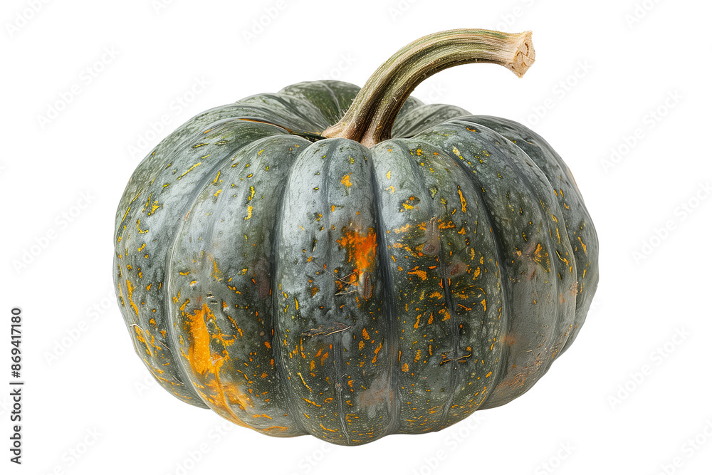 Atlantic pumpkin with a green stem isolated on a white background, great for autumn themes and decorations Atlantic pumpkin with a green stem isolated on a white background, great for autumn themes and decorations
