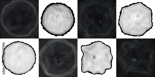 Log cut, vector illustration, tree rings pattern, shades of gray	
