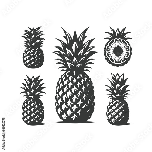  pineapple comosus fruitful isolated on white backdrop. Dark ink hand drawn picture in retro art print style. Vector pineapple fruit silhouettes isolated on white