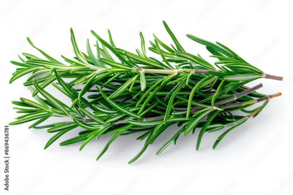 Fresh Sprigs of Rosemary on a White Background Fresh Sprigs of Rosemary on a White Background