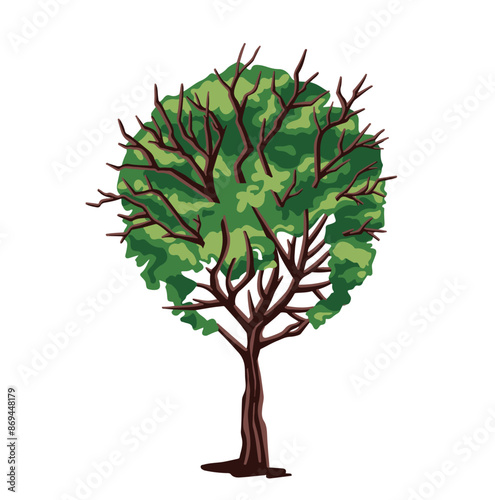 color simple illustration of a well-groomed poplar tree.