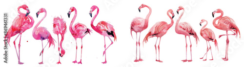 Floating pink flamingos on a white background, watercolor illustration