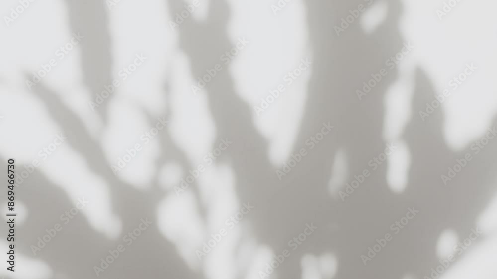 Abstract silhouette shadow white background of natural leaves tree branch falling on wall. Transparent overlay blurry leaf in morning sun light.