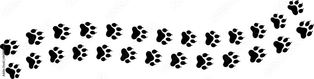 Paw vector foot trail print. Pattern animal tracks isolated on white background. Black silhouette of a paw print, isolated vector icon Illustration. Paw vector foot trail print. Pattern animal tracks isolated on white background. Black silhouette of a paw print, isolated vector icon Illustration.