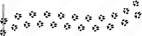 Paw vector foot trail print. Pattern animal tracks isolated on white background. Black silhouette of a paw print, isolated vector icon Illustration.