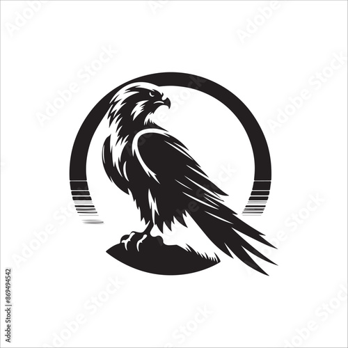 falcon silhouette vector illustration