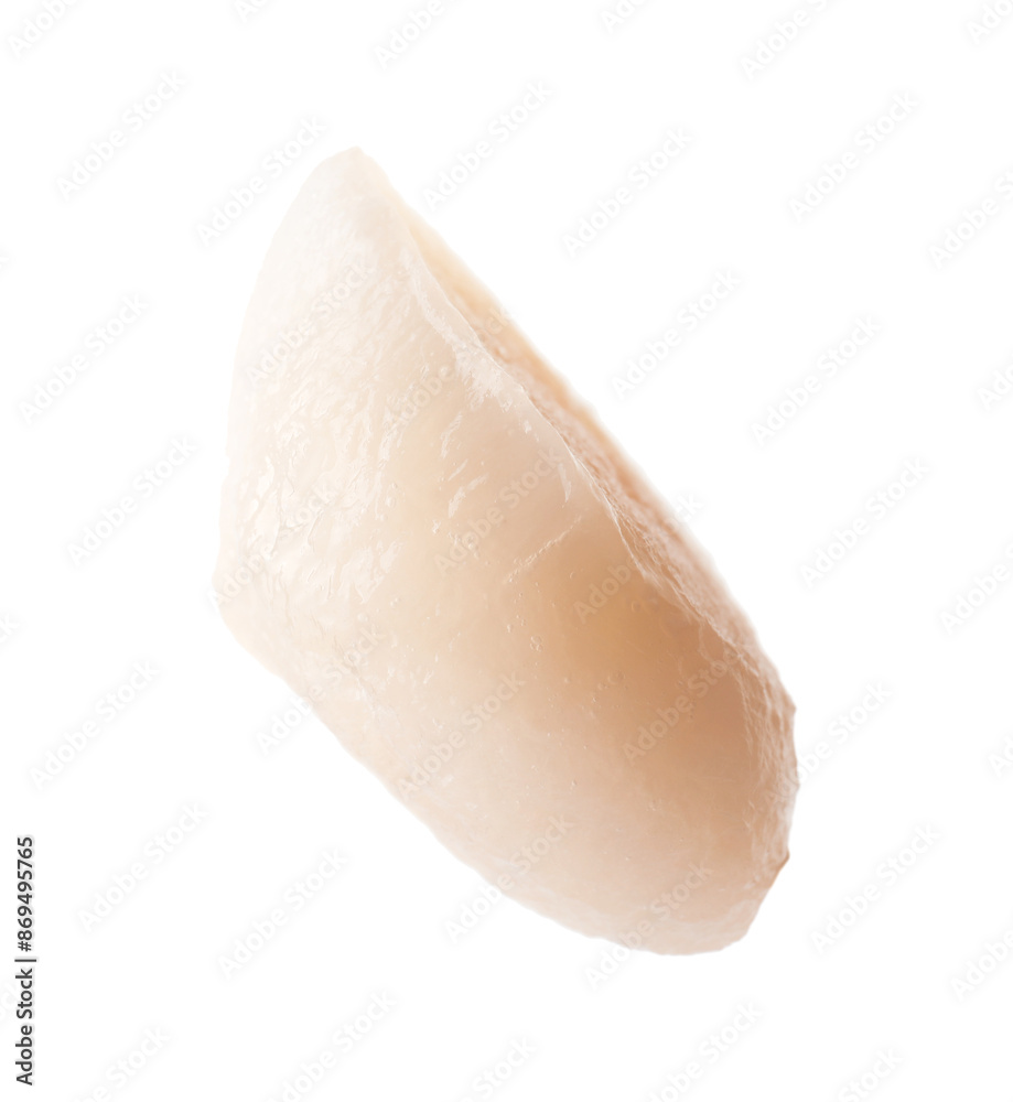 One fresh raw scallop isolated on white One fresh raw scallop isolated on white