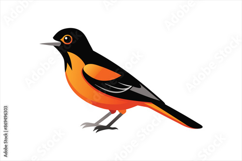 A beautiful Oriole bird Vector artwork illustration 