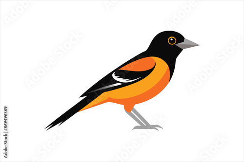A beautiful Oriole bird Vector artwork illustration 