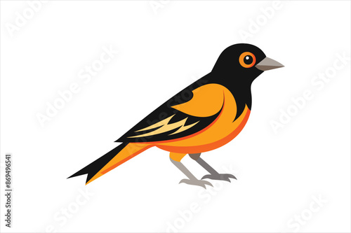 A beautiful Oriole bird Vector artwork illustration 