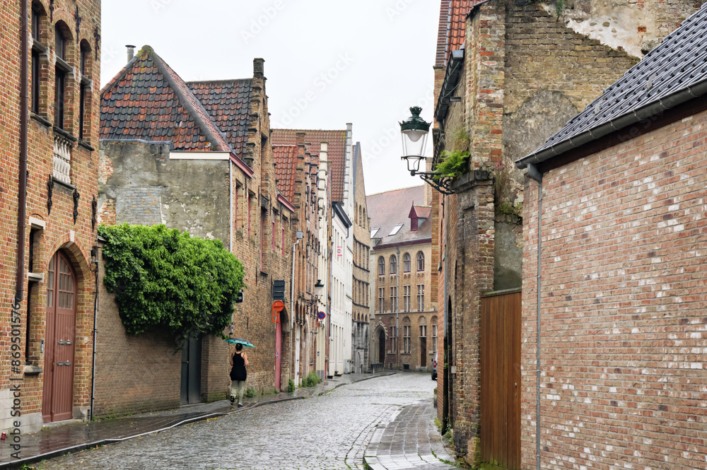 Obraz premium Historic houses on the banks of a canal in Bruges, Brugge, Belgium, Europe