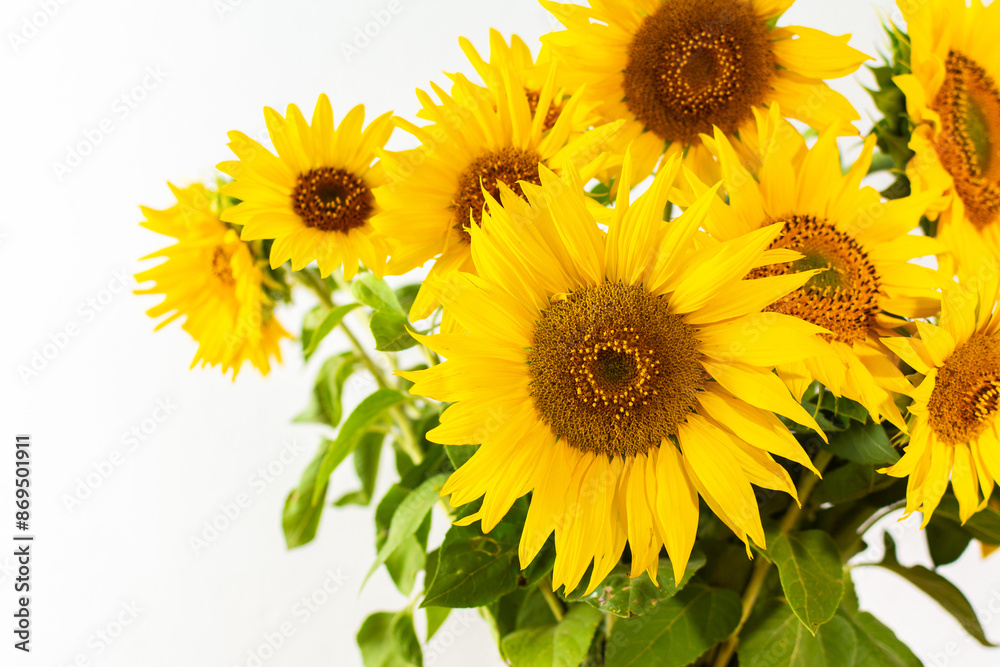 Fototapeta premium Summer rustic bouquet close up on a white background, bright juicy decorative sunflowers