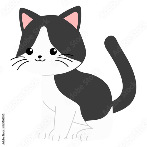 cute black and white cat is sitting