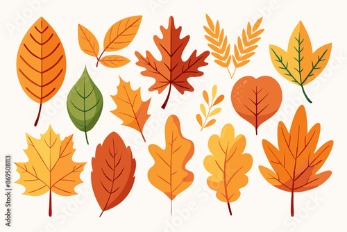 A collection of gold  autumn leaves in various shapes and colors 