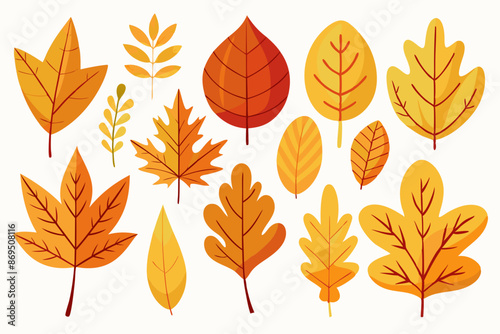 A collection of gold  autumn leaves in various shapes and colors 