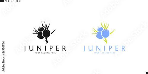 Juniper with leaves logo. Fresh berry sign. Isolated juniper on white background. Natural food vector